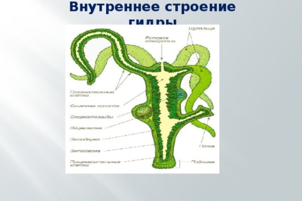 Kraken даркнет маркет